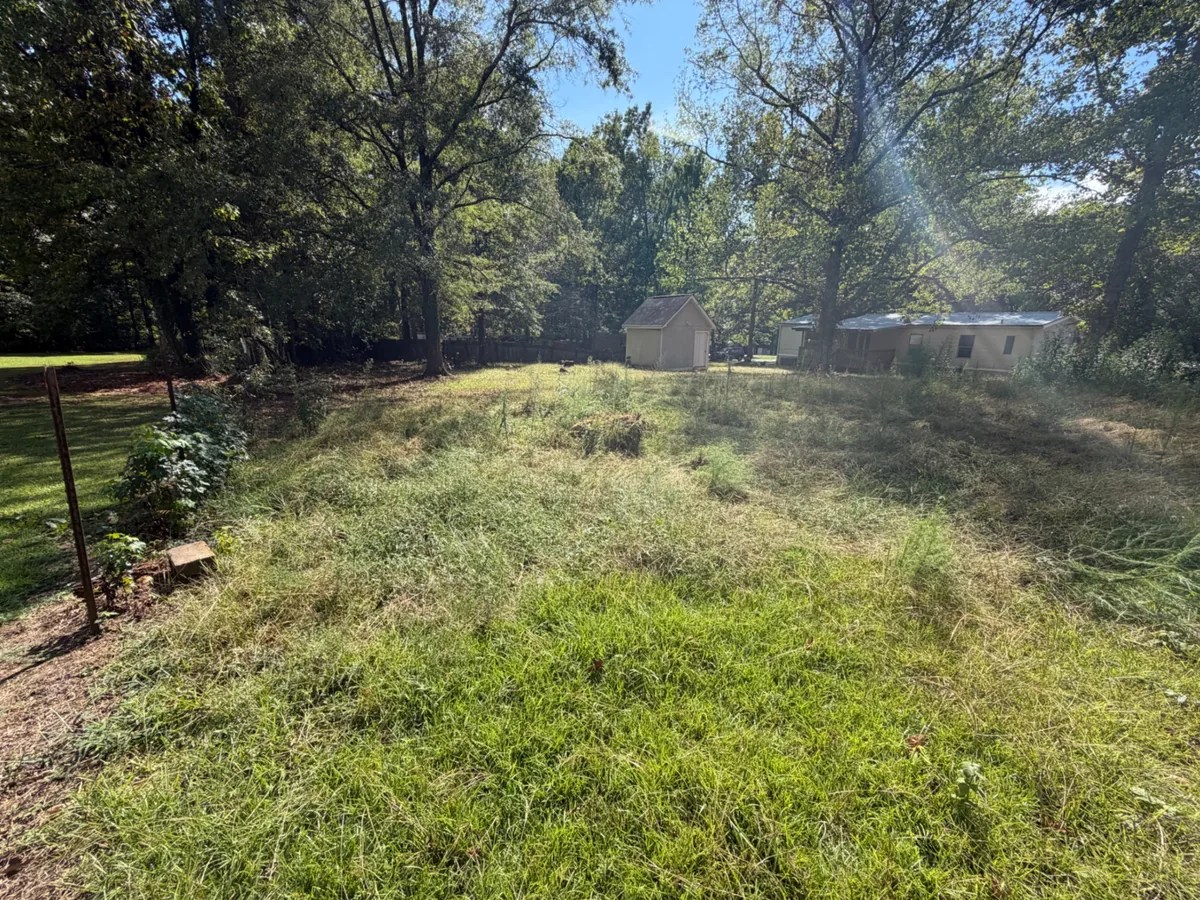Overgrown grass along a fence and around trees before yard cleanup.