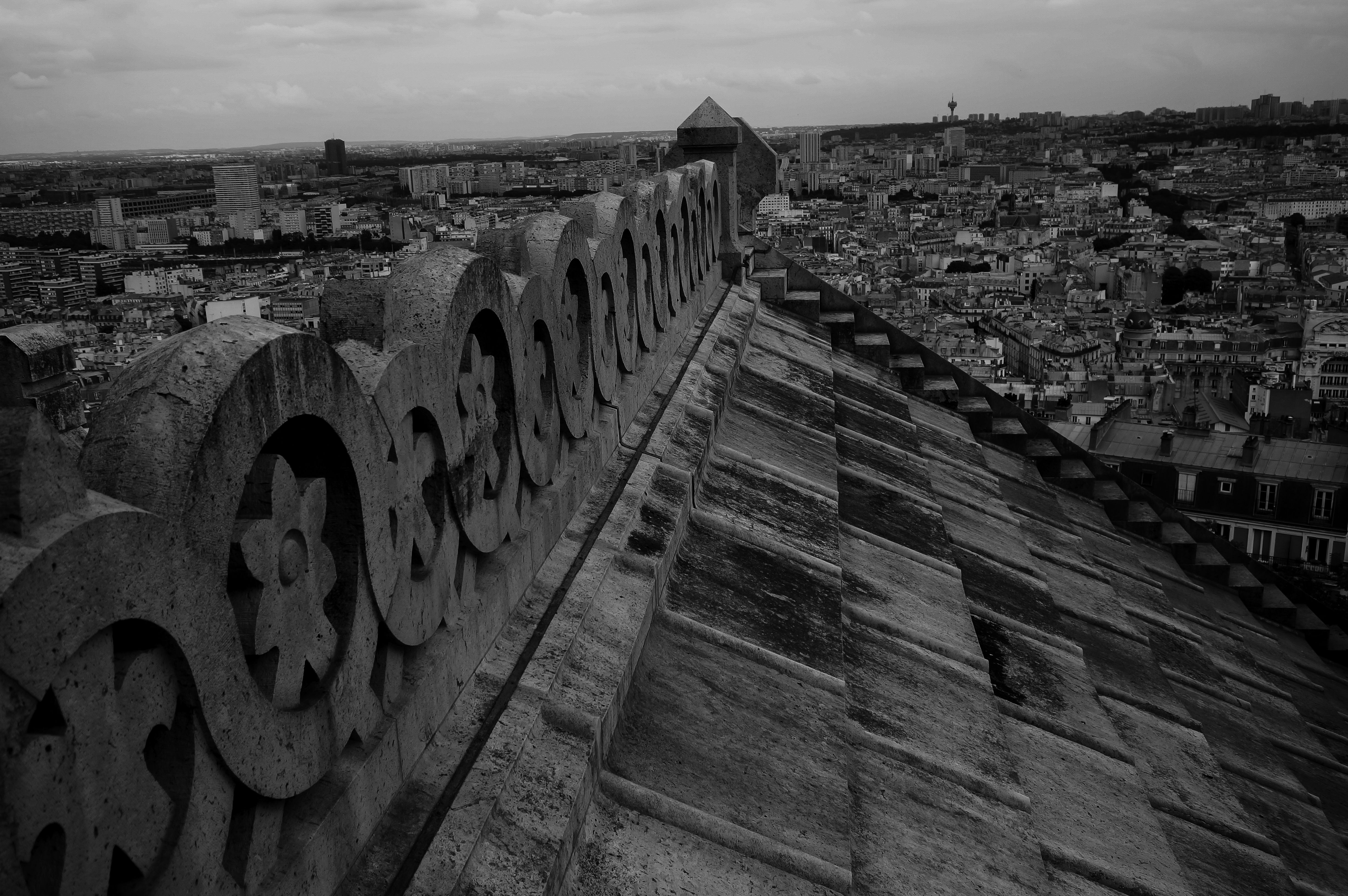 Sacré-Cœur rooftop