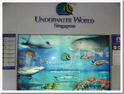 underwater world_thumb[2]