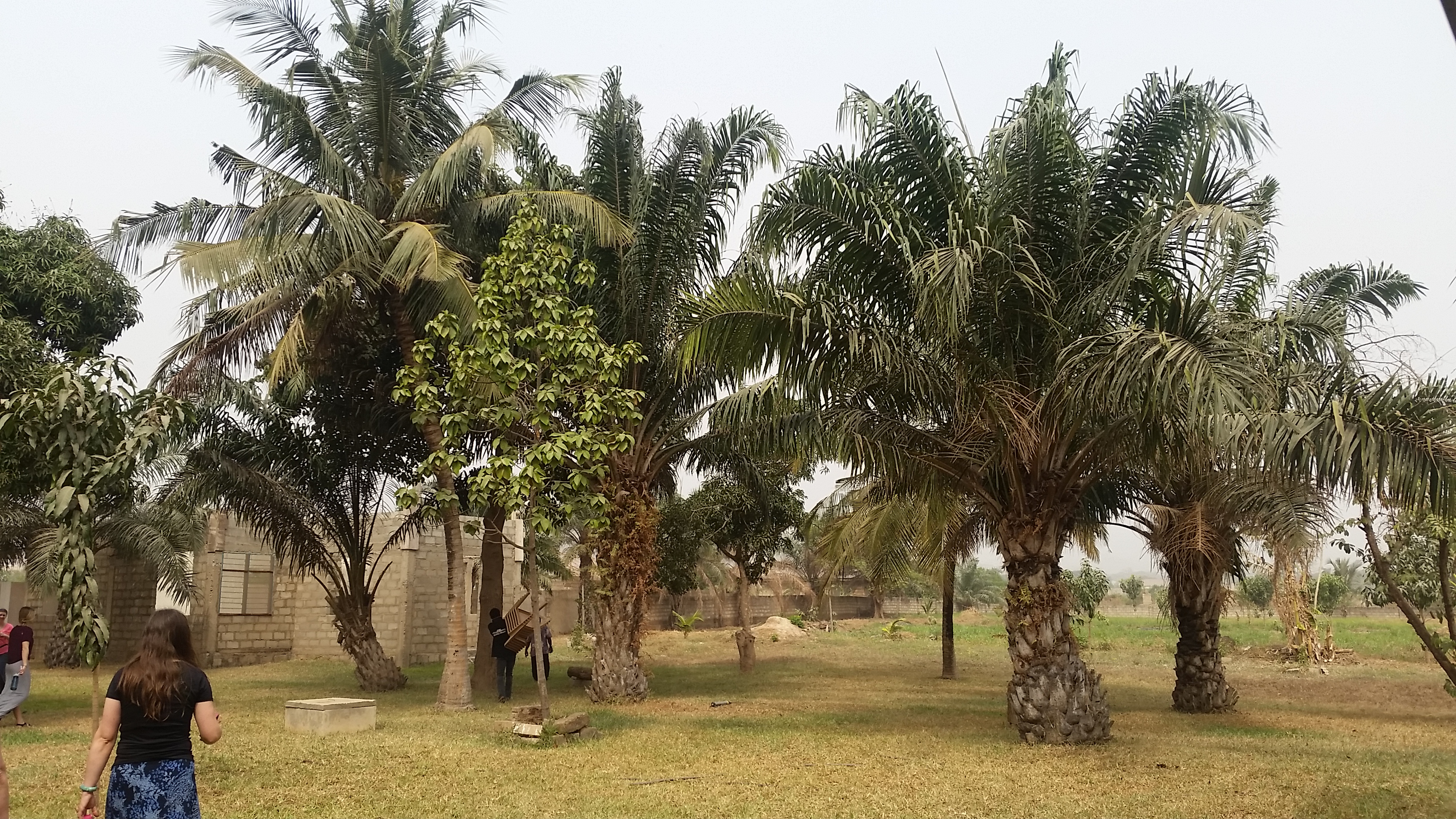 Accra Ghana Nursing Missions