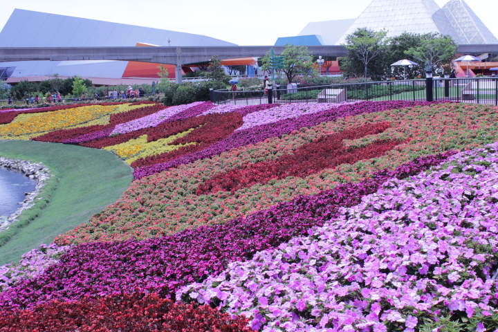 Disney World