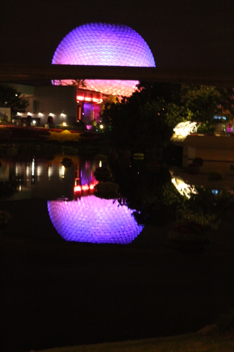 Disney World