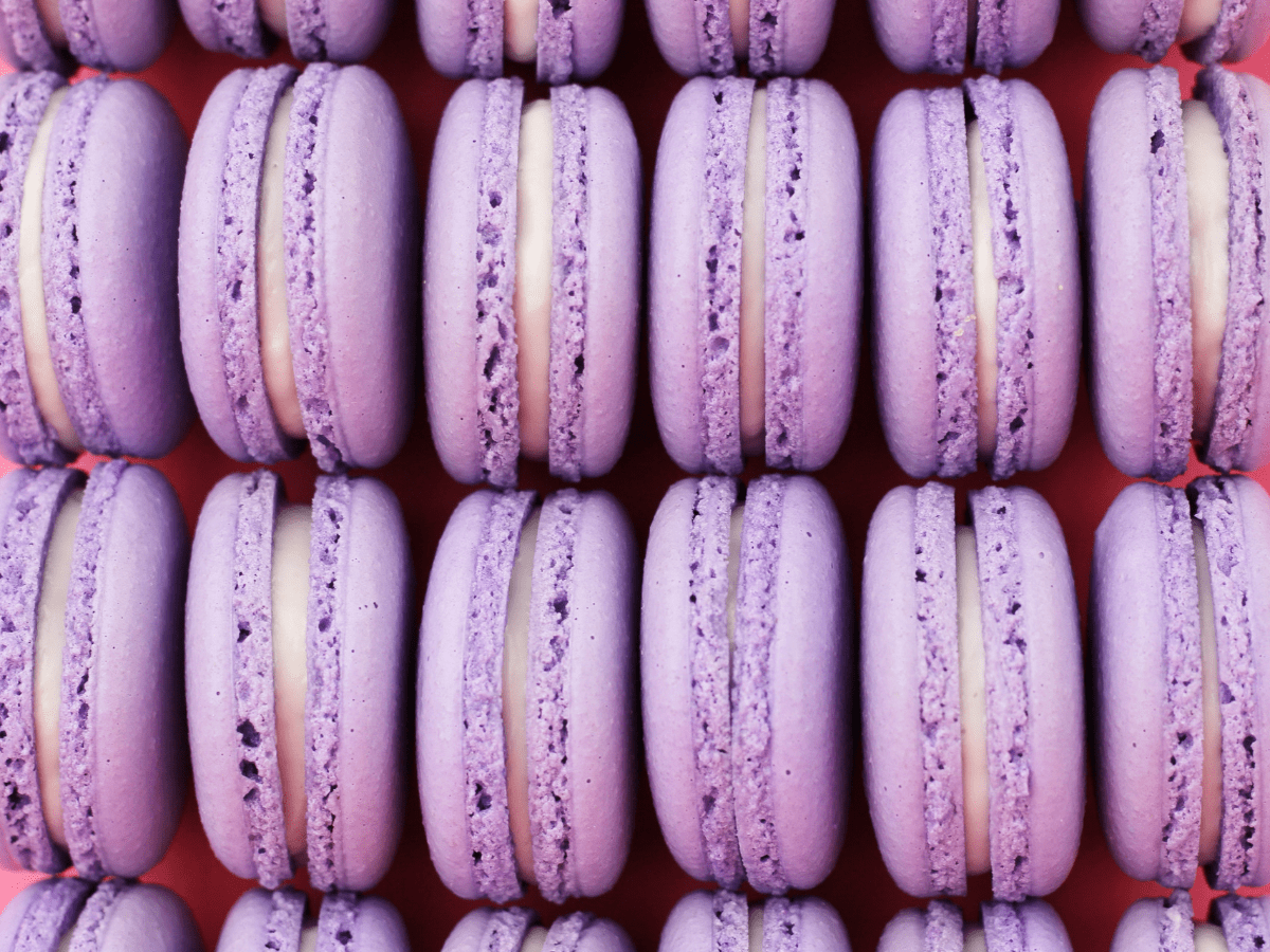 macaron boxes