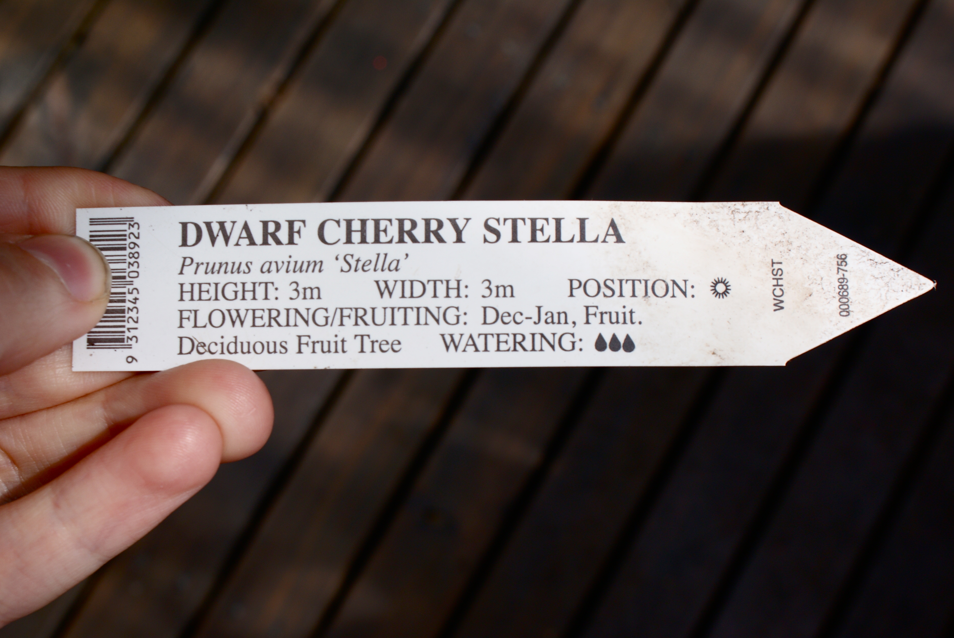 Dallas Fruit And Vegetable Grower Growing Cherry Trees In Dallas And Texas