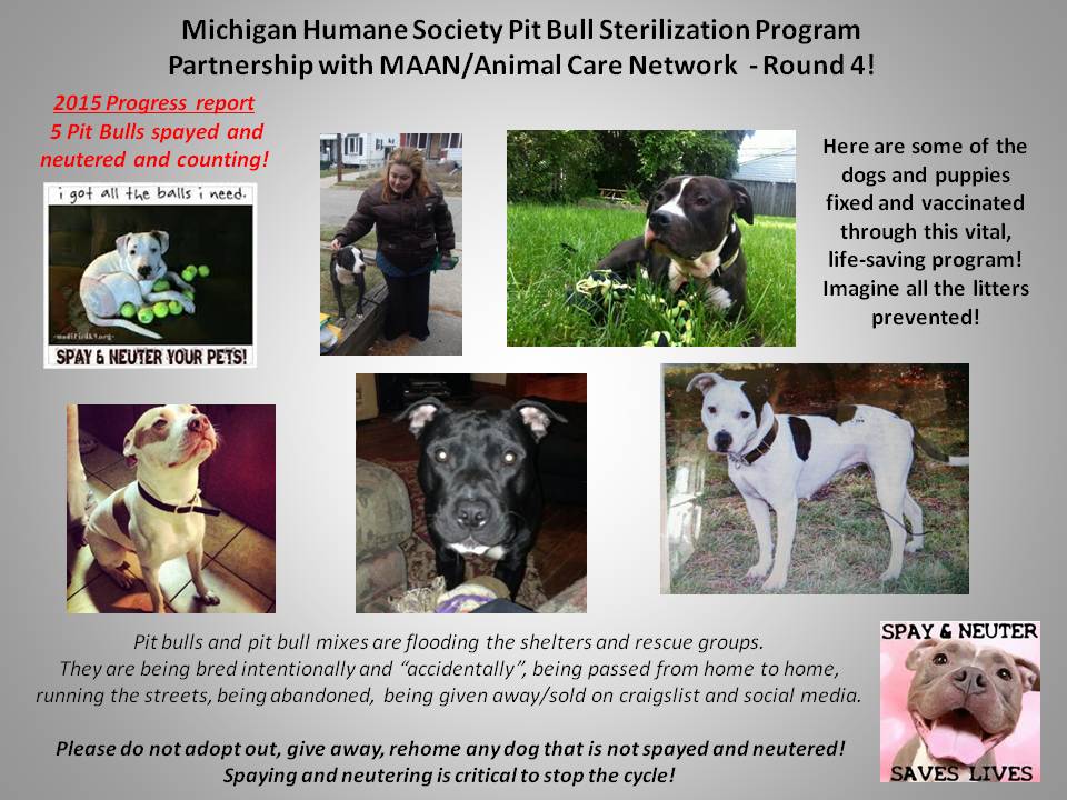 List of free to low cost spay and neuter clinics · adoptions: February 20 2015 Michigan Humane Society Free Pit Bull Sterilization Program Michigan Animal Adoption Network