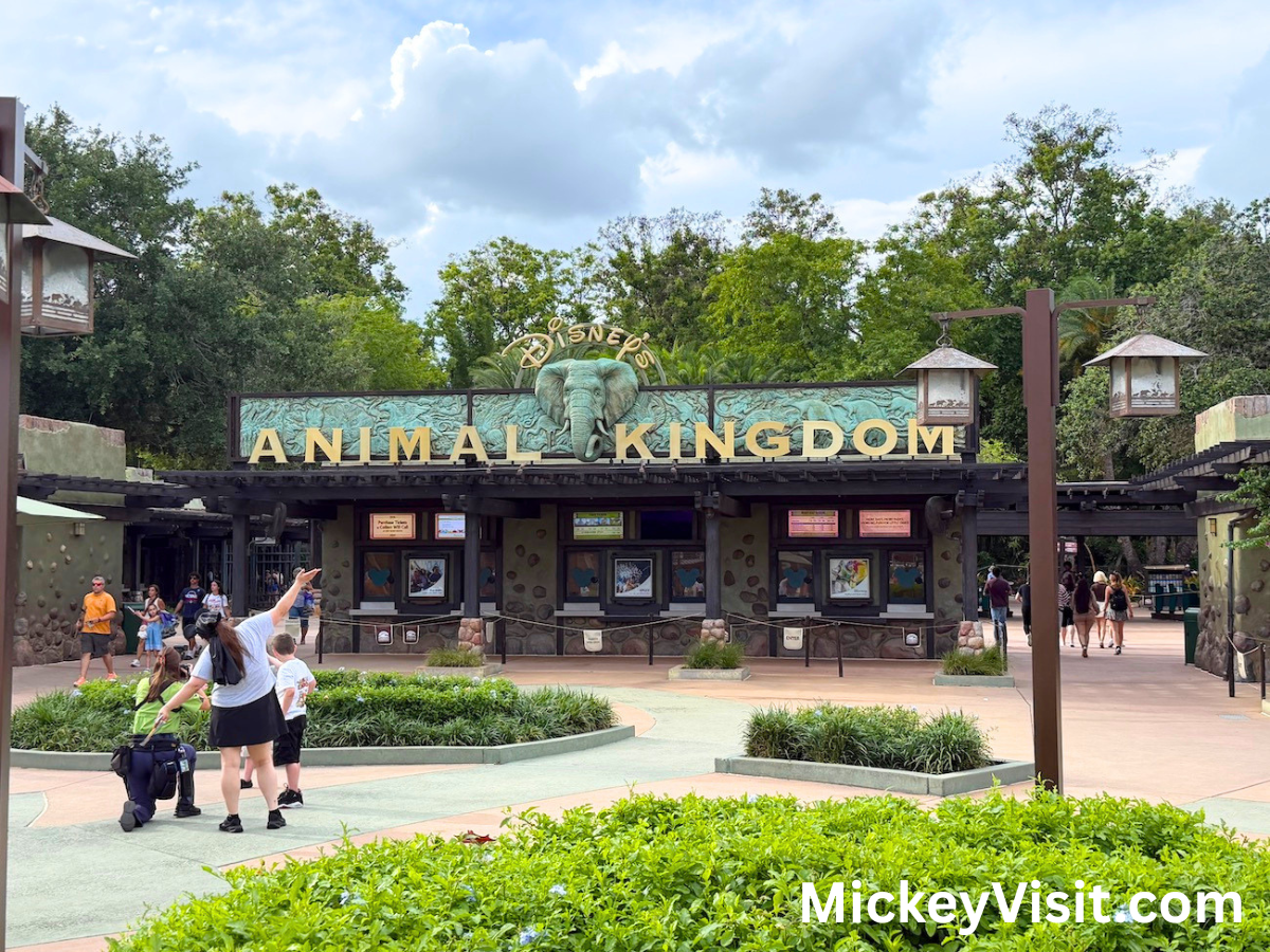 Disney World Animal Kingdom Rope Drop Changes: What You Need to Know! (2026)