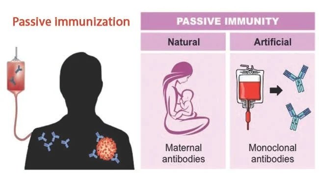 Passive Immunity Can Be Conferred Directly Select the correct statement about active and passive immunity.