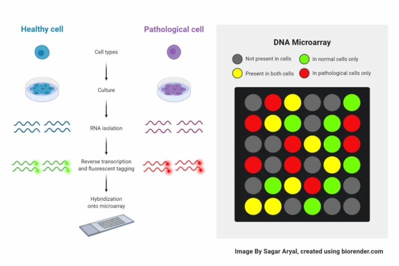 Dna Microarray Data Processing - Download Gorgeous Geometric Illustration | 4K