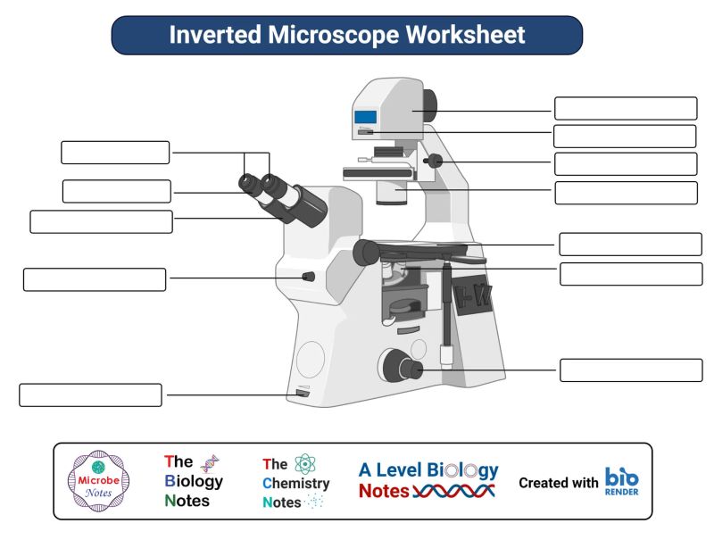 Microscope Parts Diagram Worksheet For Students - Perfect Abstract Picture - High Resolution