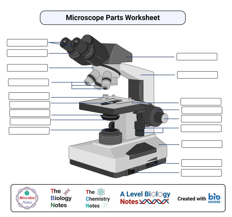 Microscope Notes Pdf - Colorful Photos - Creative Ultra HD Collection