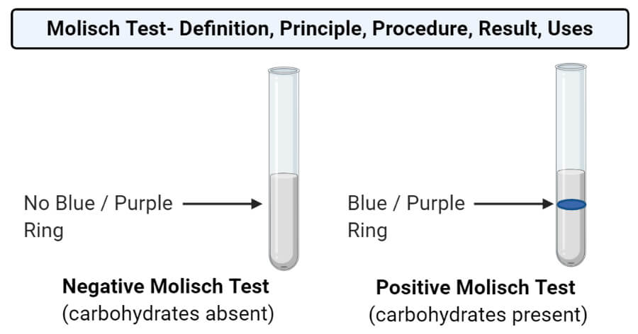 Carbohydrate Fermentation Test Uses Principle Procedure Results Microbe Online What is not a type of carbohydrate.