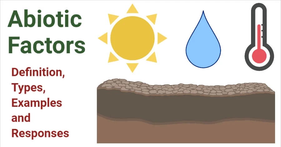Abiotic factors- definition, types, examples and responses