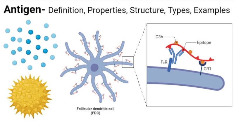 Antigen Geeksforgeeks - Nature Photo Collection - Full HD Quality