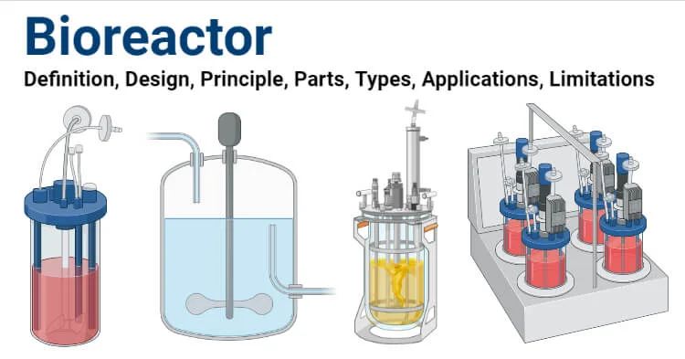 Bioreactor Design Principle Parts Types Uses Diagram - Space Design Collection - Desktop Quality
