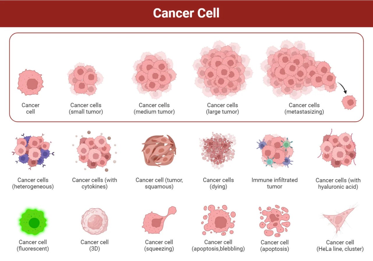 Cancer Cell Key Takeaways: A New Frontier in Immunotherapy