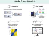 Transcriptomics Definition Types Techniques Applications