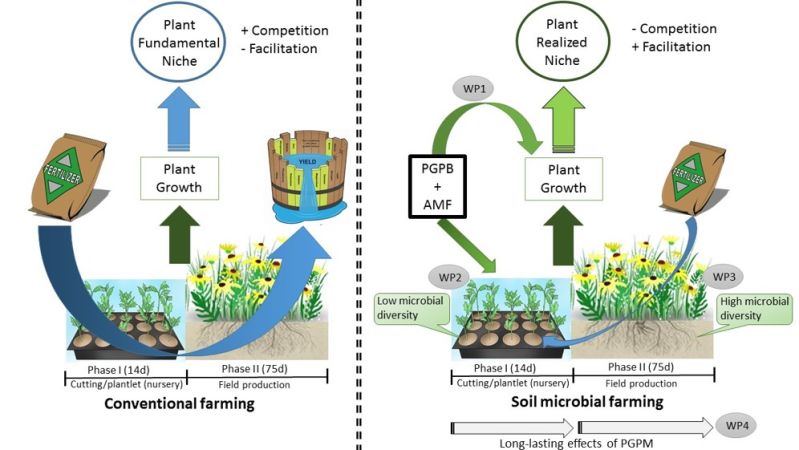 Microbial Farming - Geometric Wallpapers - Gorgeous HD Collection