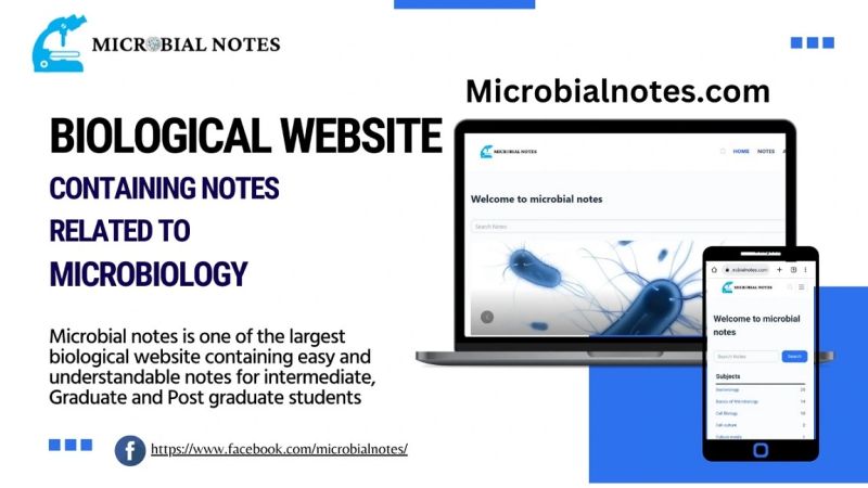 About Microbe Notes - Beautiful Geometric Picture - Retina