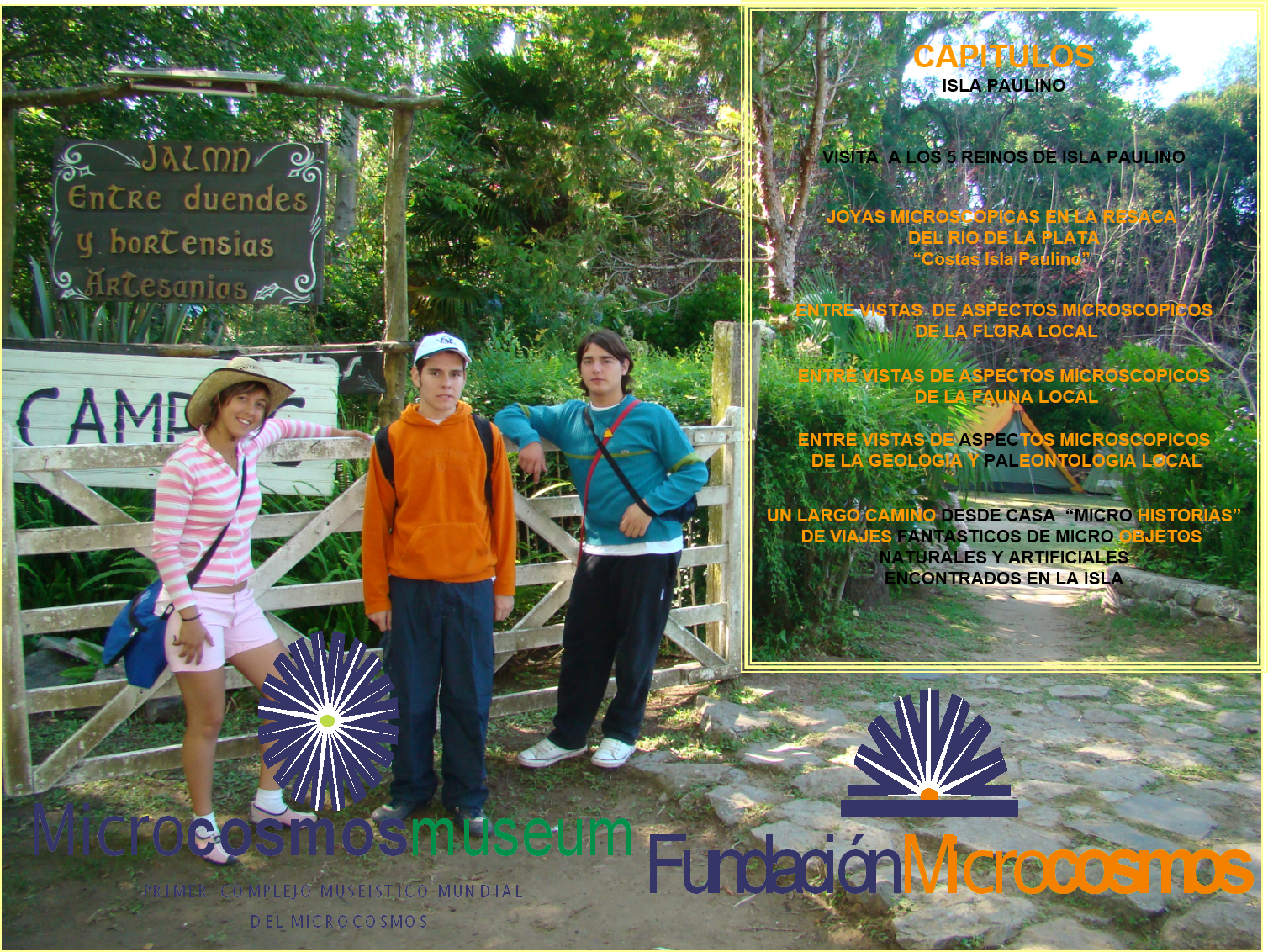 Proyectos y actividades
