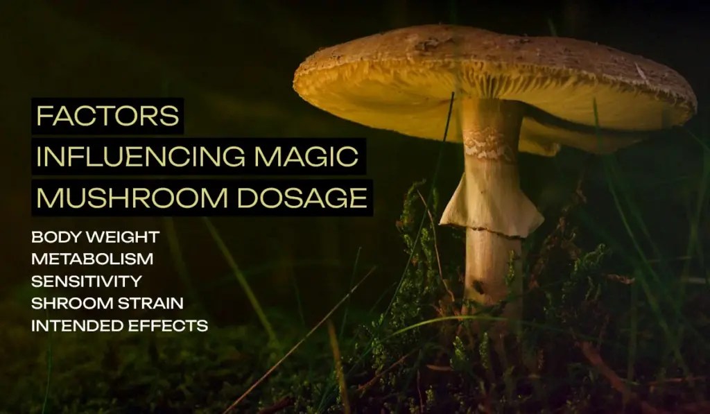 Shroom dosage 🍄 psilocybin doses and their varied effects