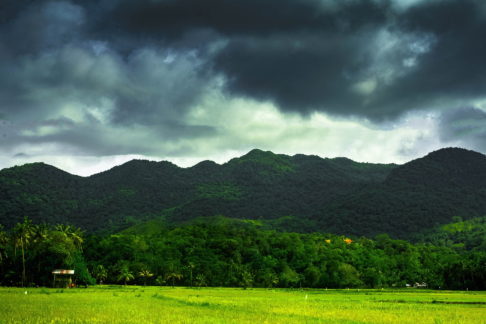 AKELCO Solar-Plus-Storage Project Acquired by SunScout