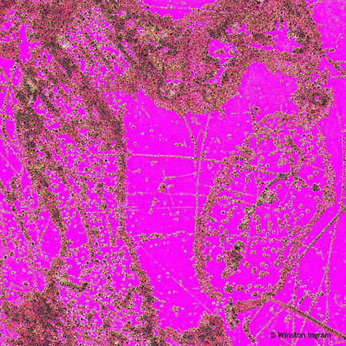 Buttons | Microbus Microscope Educational Website