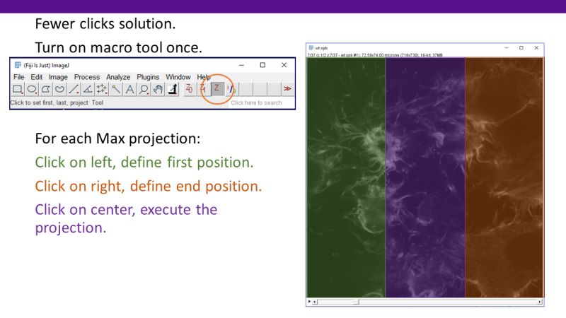 Selective Z Project - Nature Photos - Creative Ultra HD Collection