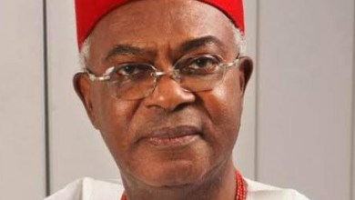 The Obi of Onitsha, Igwe Nnaemeka Alfred Achebe