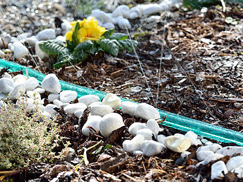 Gartensprinkler Garten Sprinkler 20 M Kreisregner Sprenger Rasenregner Regner Amazon De Kuche Haushalt