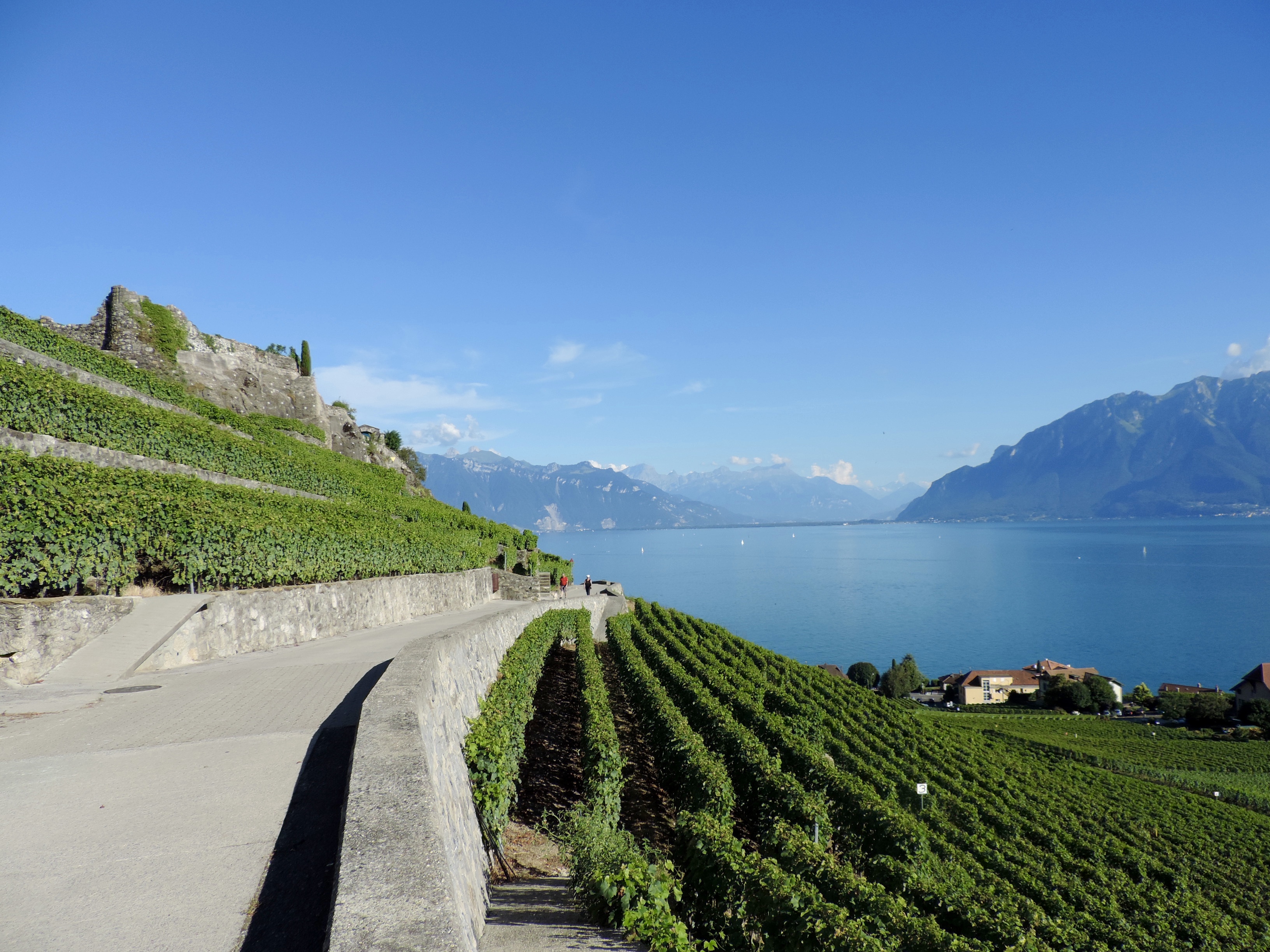 A wine hike under the three suns of Switzerland's Lavaux Vineyards