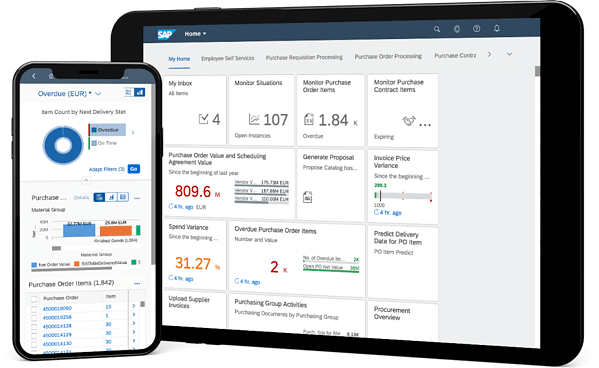 SAP partner in Nigeria, Microware Solutions,