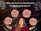 The Growing Demand For Python Developers
