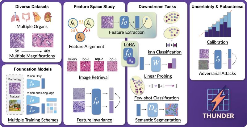Thunder Lei Github - Professional Abstract Texture - Mobile