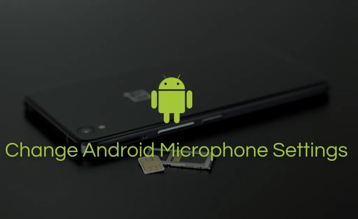 How to Turn On Microphone on an Android Phone