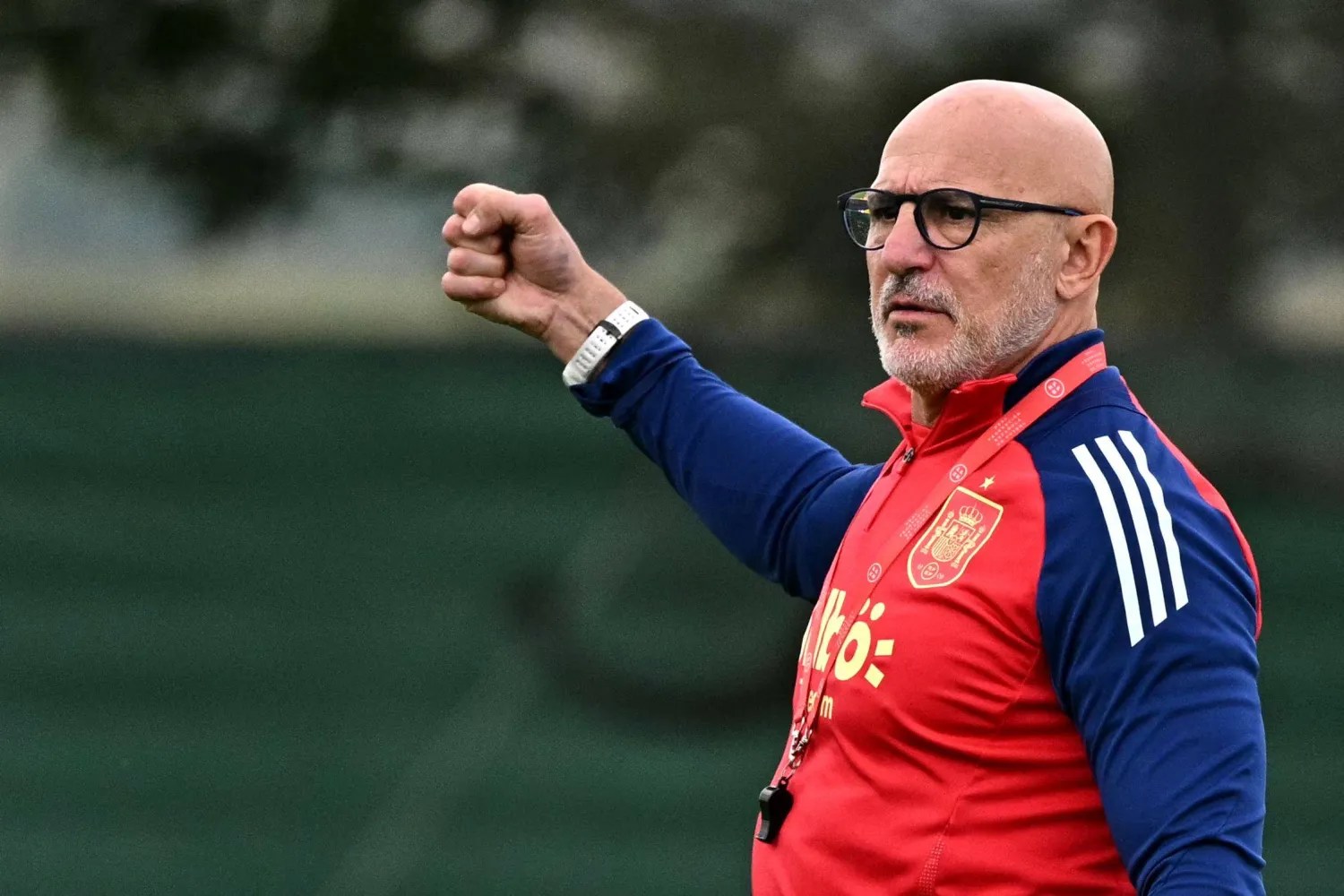 قرار هام من اتحاد الكرة الإسباني بشأن المدير الفني للمنتخب
