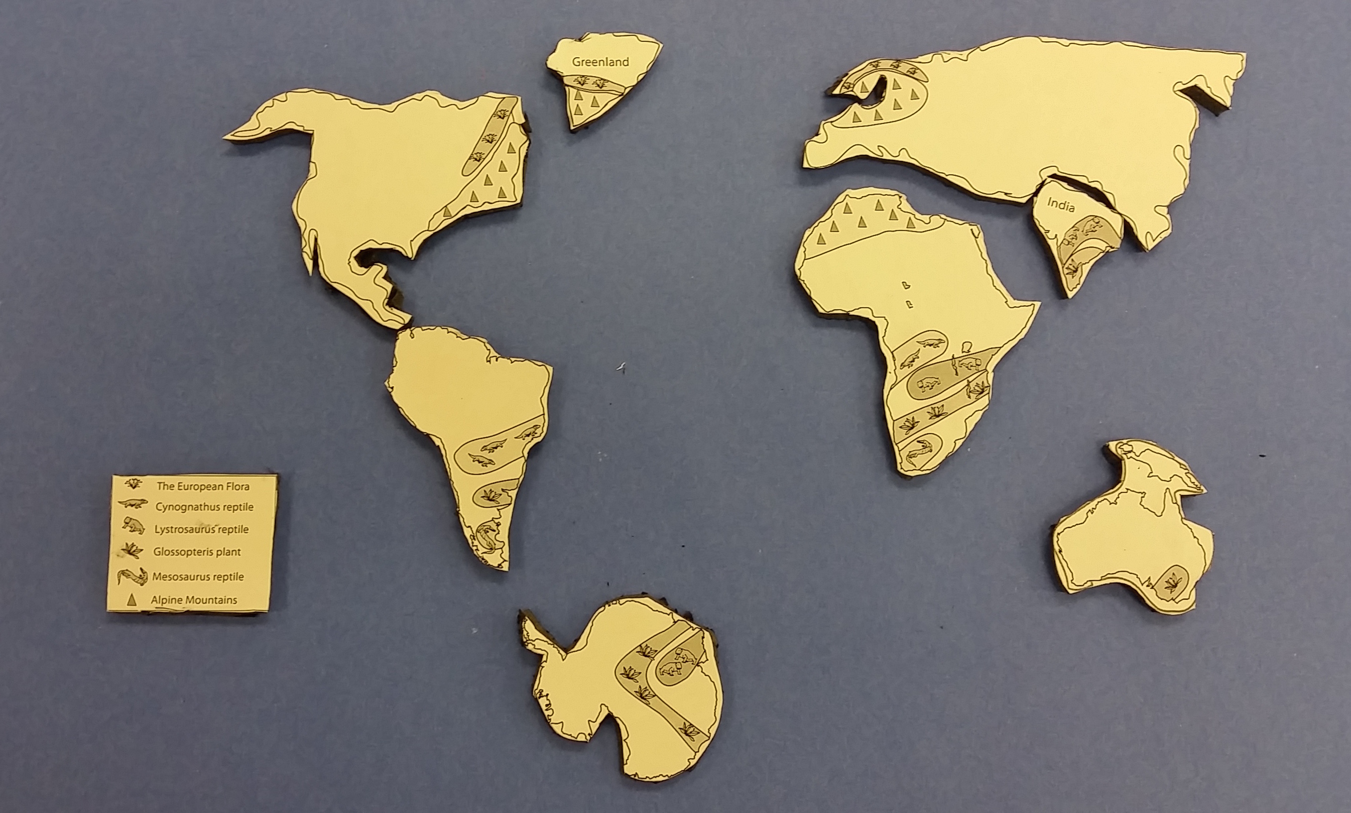 Continental Drift – Pangea Puzzle Activity – Middle School Science