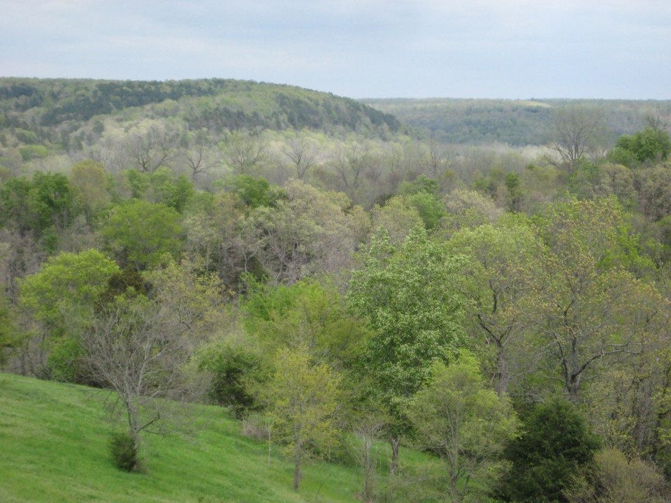 Mike's Creek Valley by Mid-Life Blogger