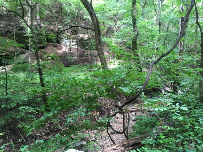 Solitude ~ Rocky Bluffs