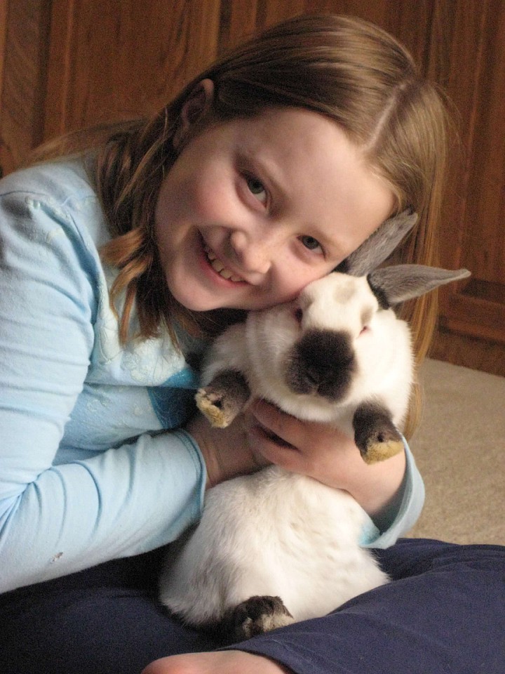 The Rabbit Mystery