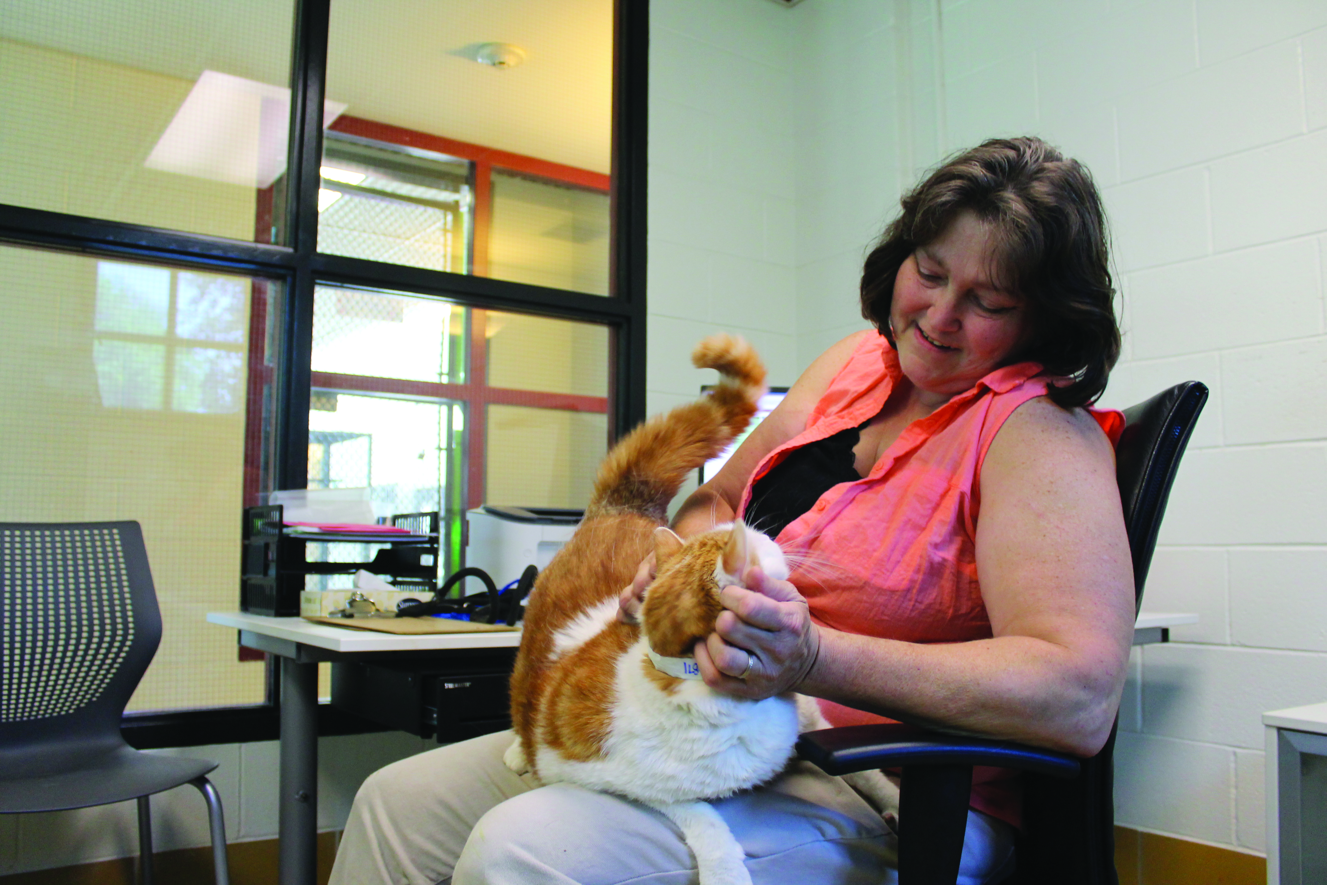 adopting a new attitude bensalem animal shelter overhauls staff policy to address concerns the midweek wire on women's humane society in bensalem