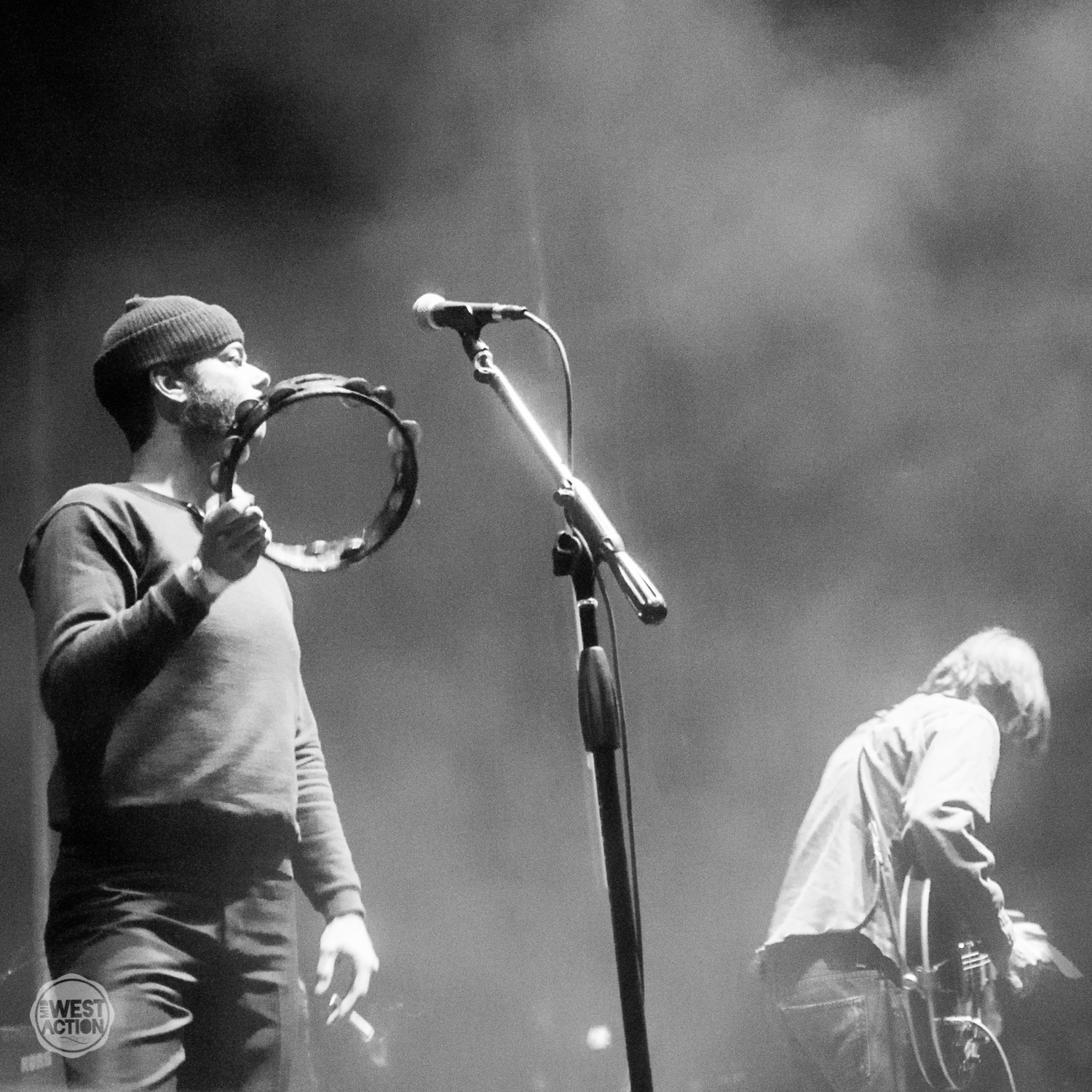 The Brian Jonestown Massacre
