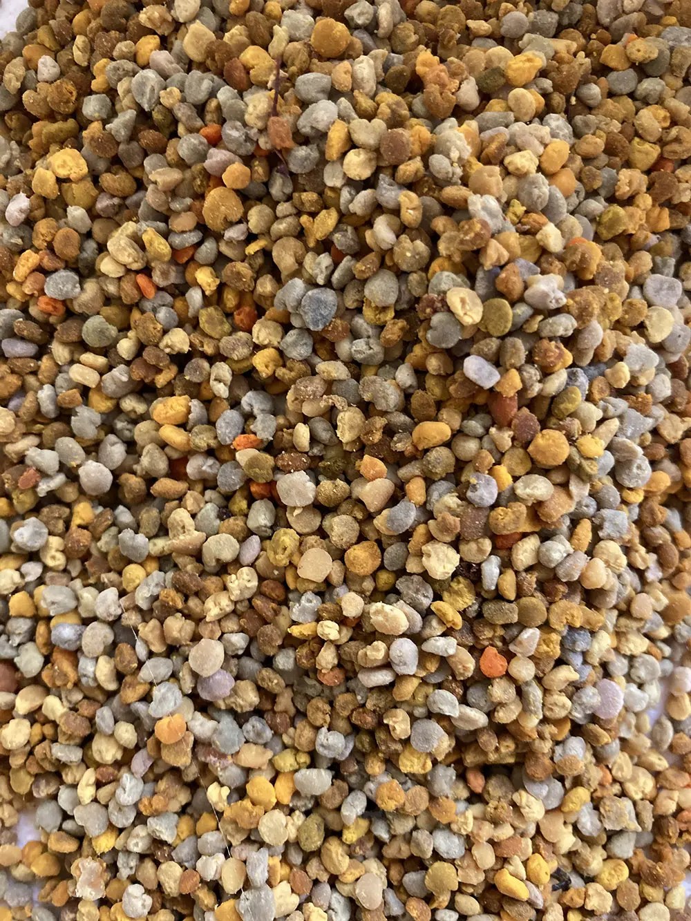 pollen printemps