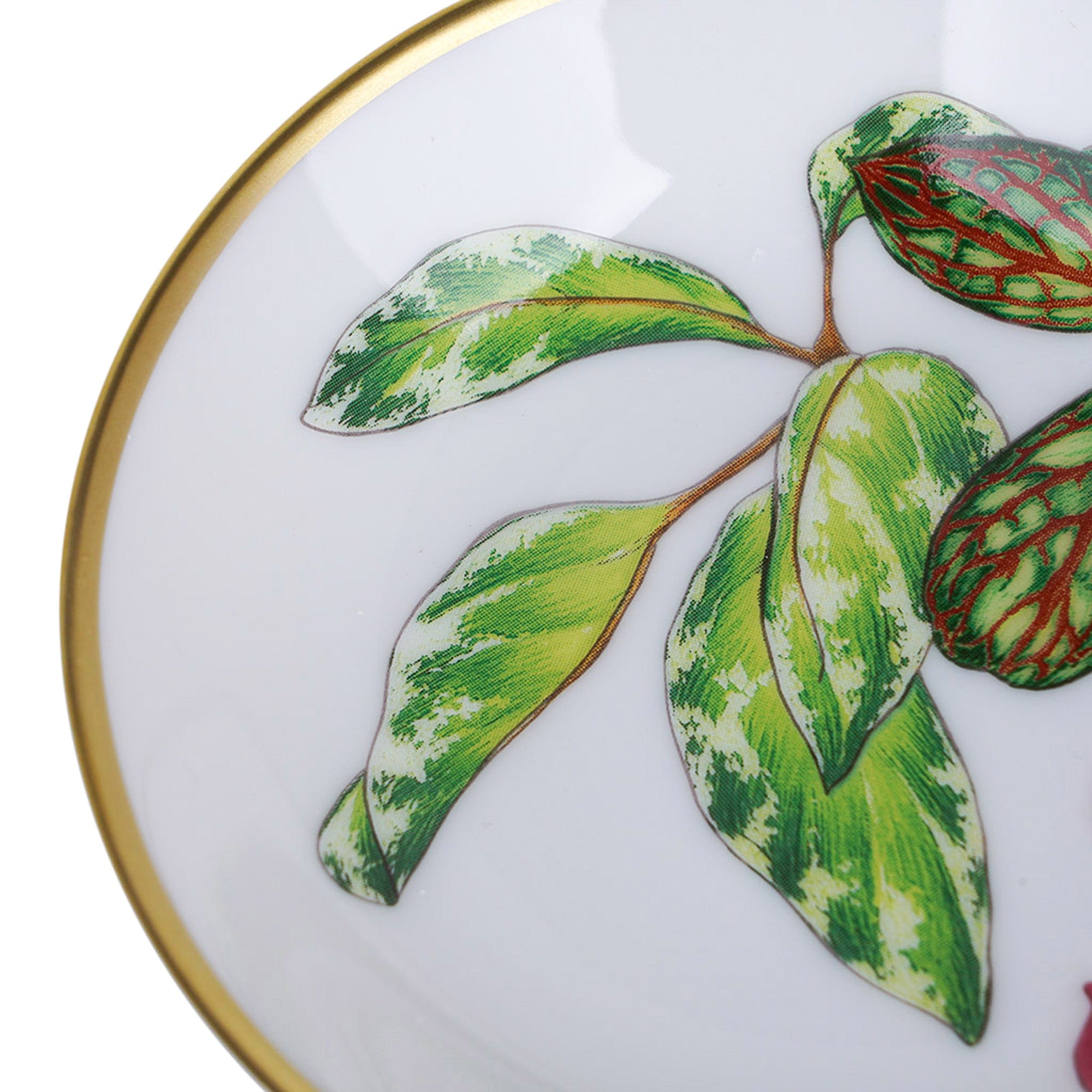 【新品・未使用】Hermès お皿 葉のデザイン Hermes Passifolia Soy Dish Set of 2 New w/Box | Mightychic