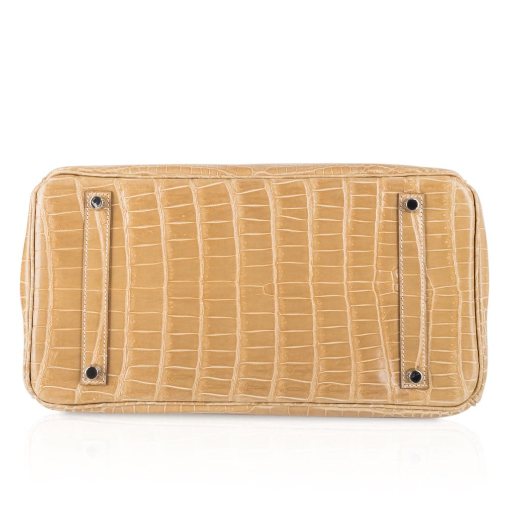 Hermès Birkin 35 HSS Poussière Porosus La Rosée | Mightychic
