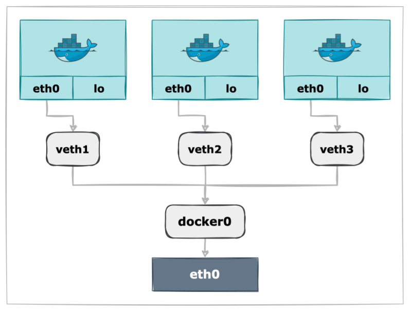 Docker Miintto Log - Premium Gradient Design Gallery - HD