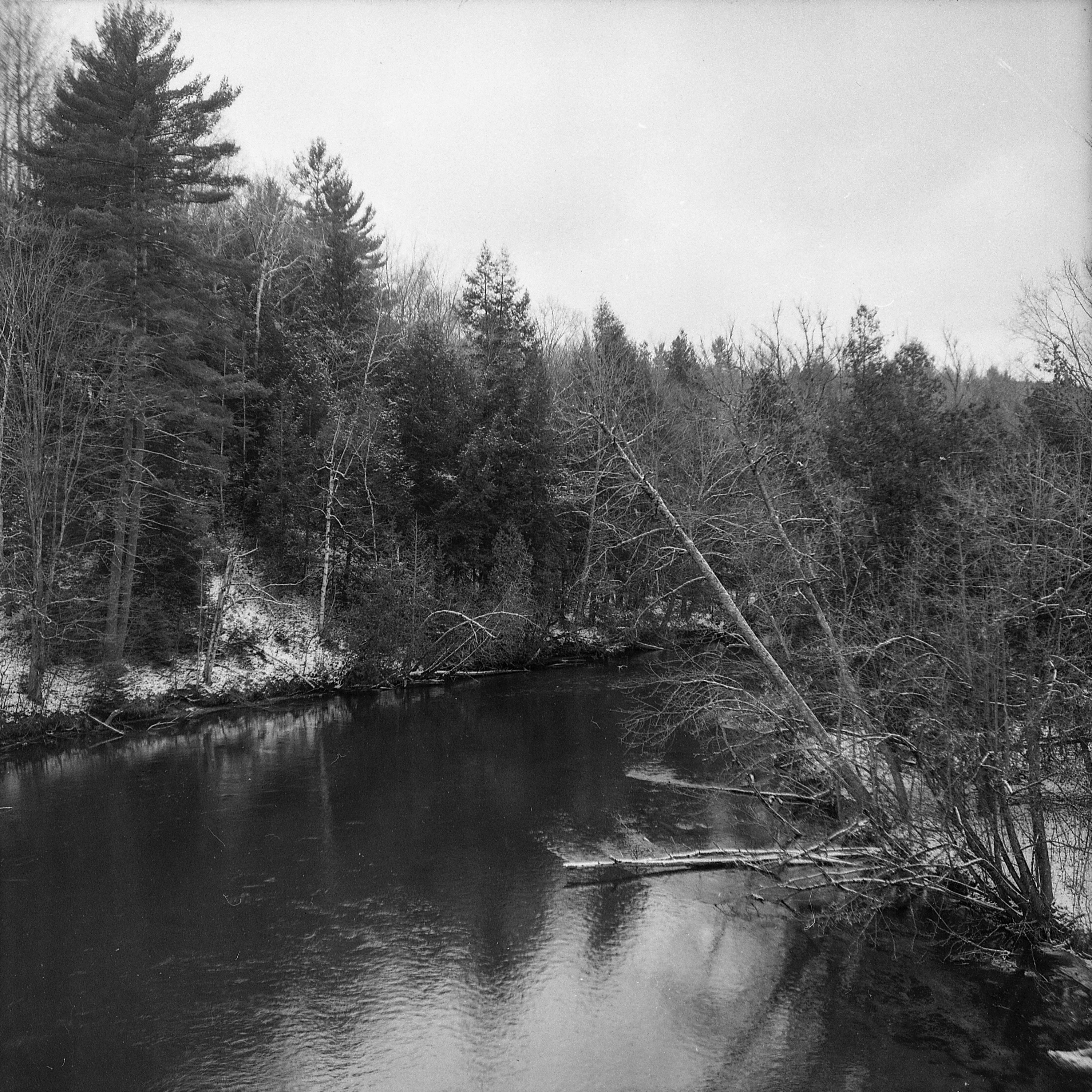 Yashica44-5