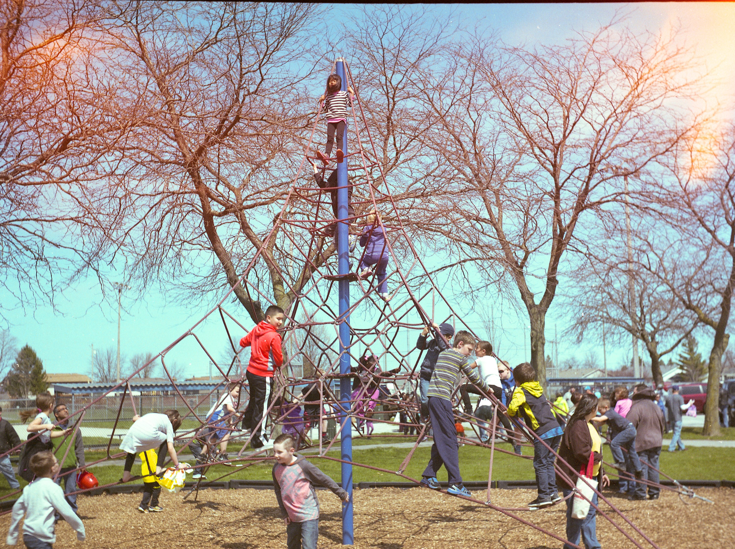 This image exhibits a bit of a light leak, but the sharpness of the Kodak lens is very evident in the tree branches.