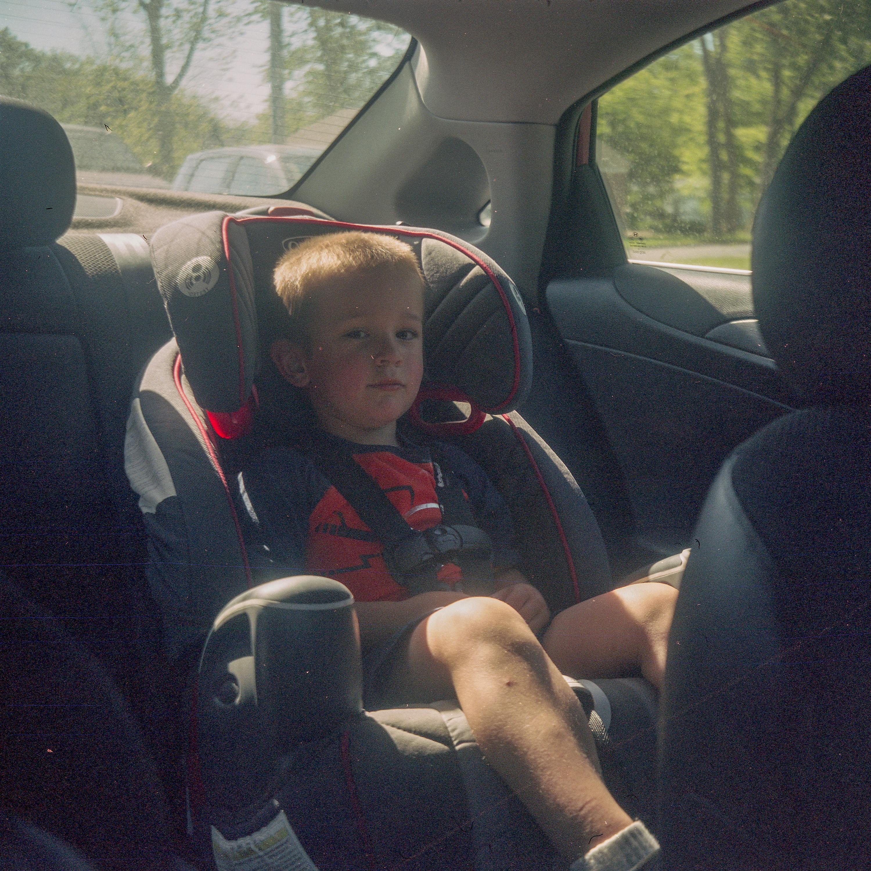 The lighting isn't perfect here, but this was shot at minimum focus from the front seat of a car.