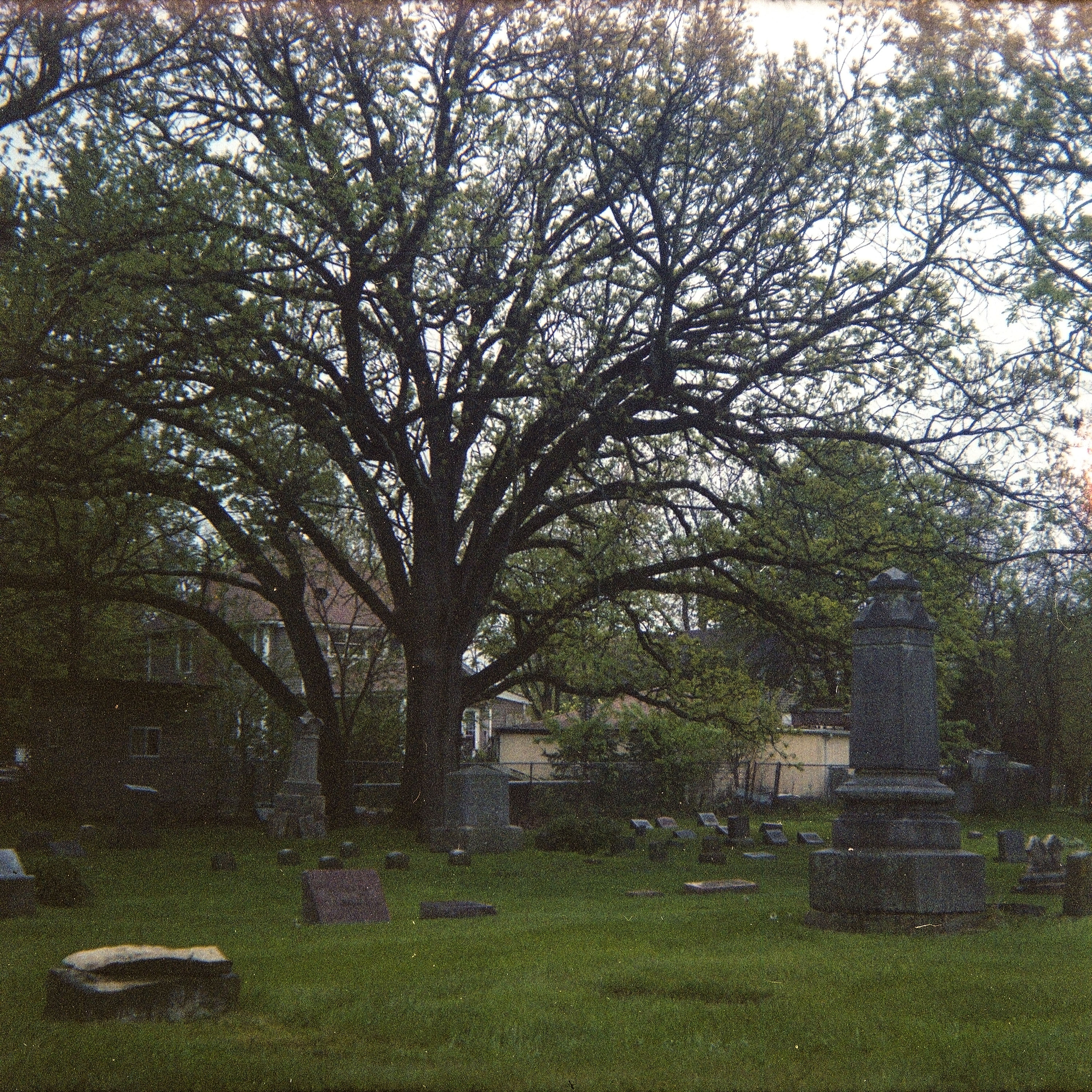 These last three images are all done in full shade, and were all slightly underexposed. Still, I like how they came out.