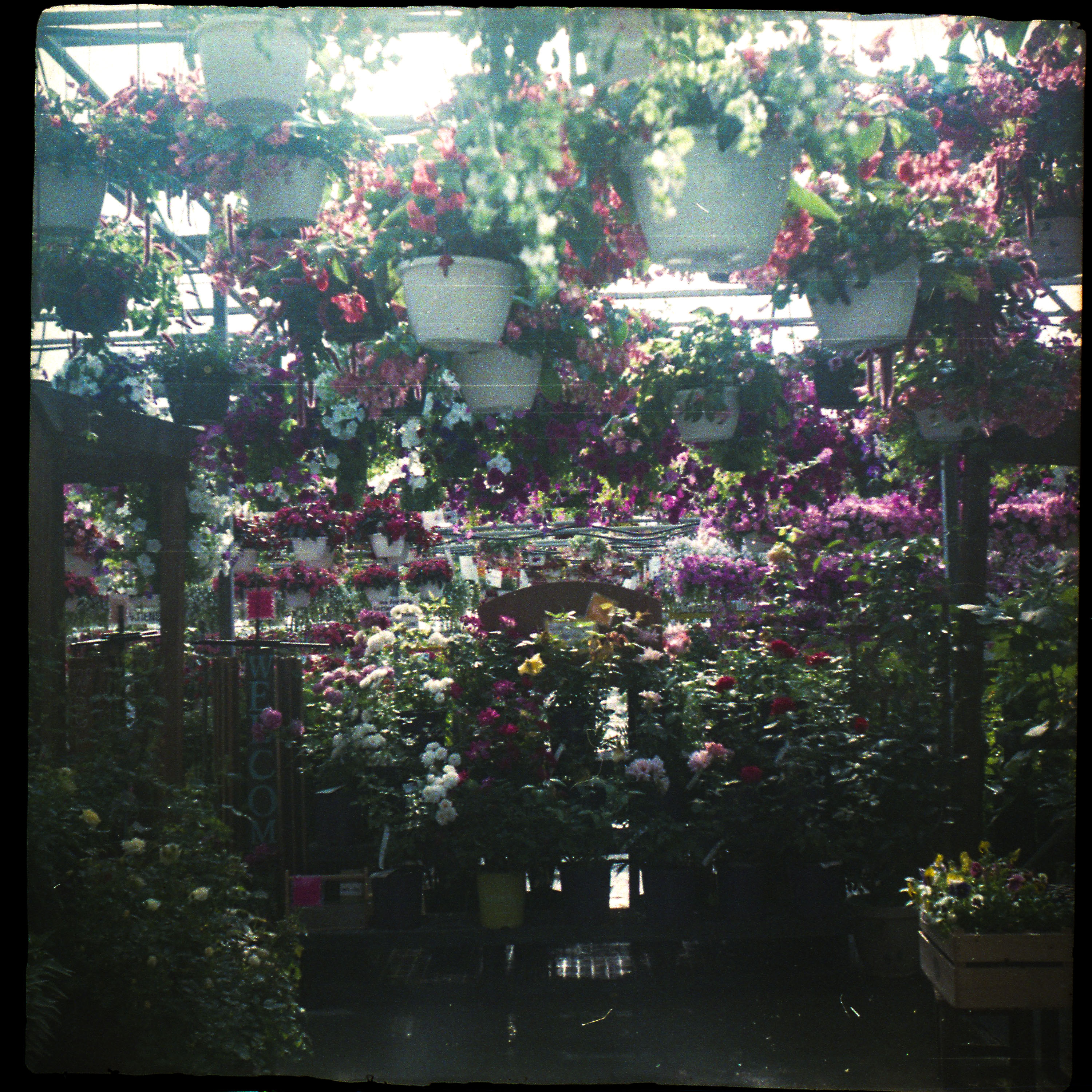 Photavit-2